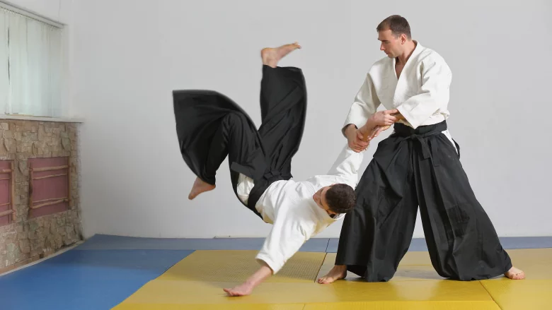 aikido picture 1