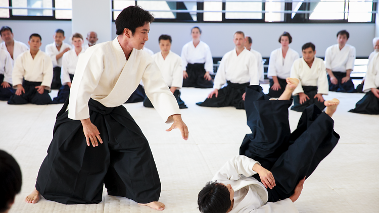 aikido picture 2