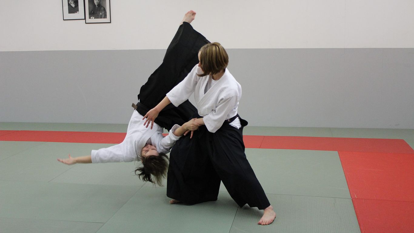 aikido picture 3