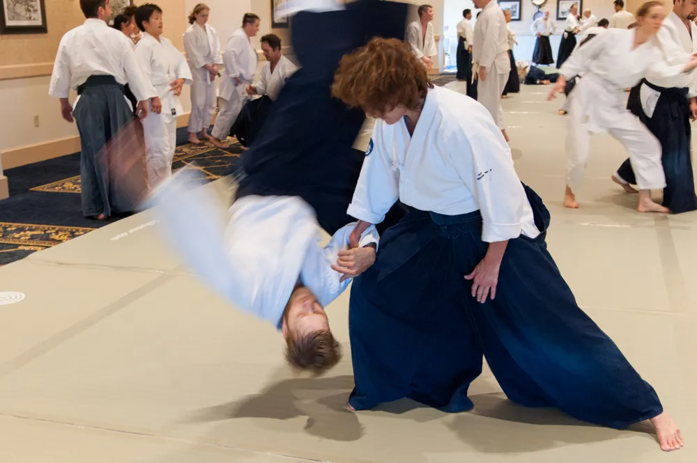 aikido picture 5