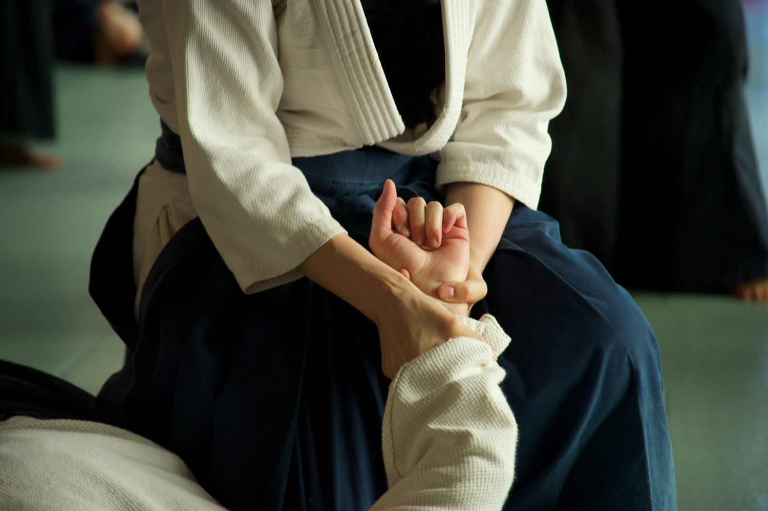 aikido picture 6