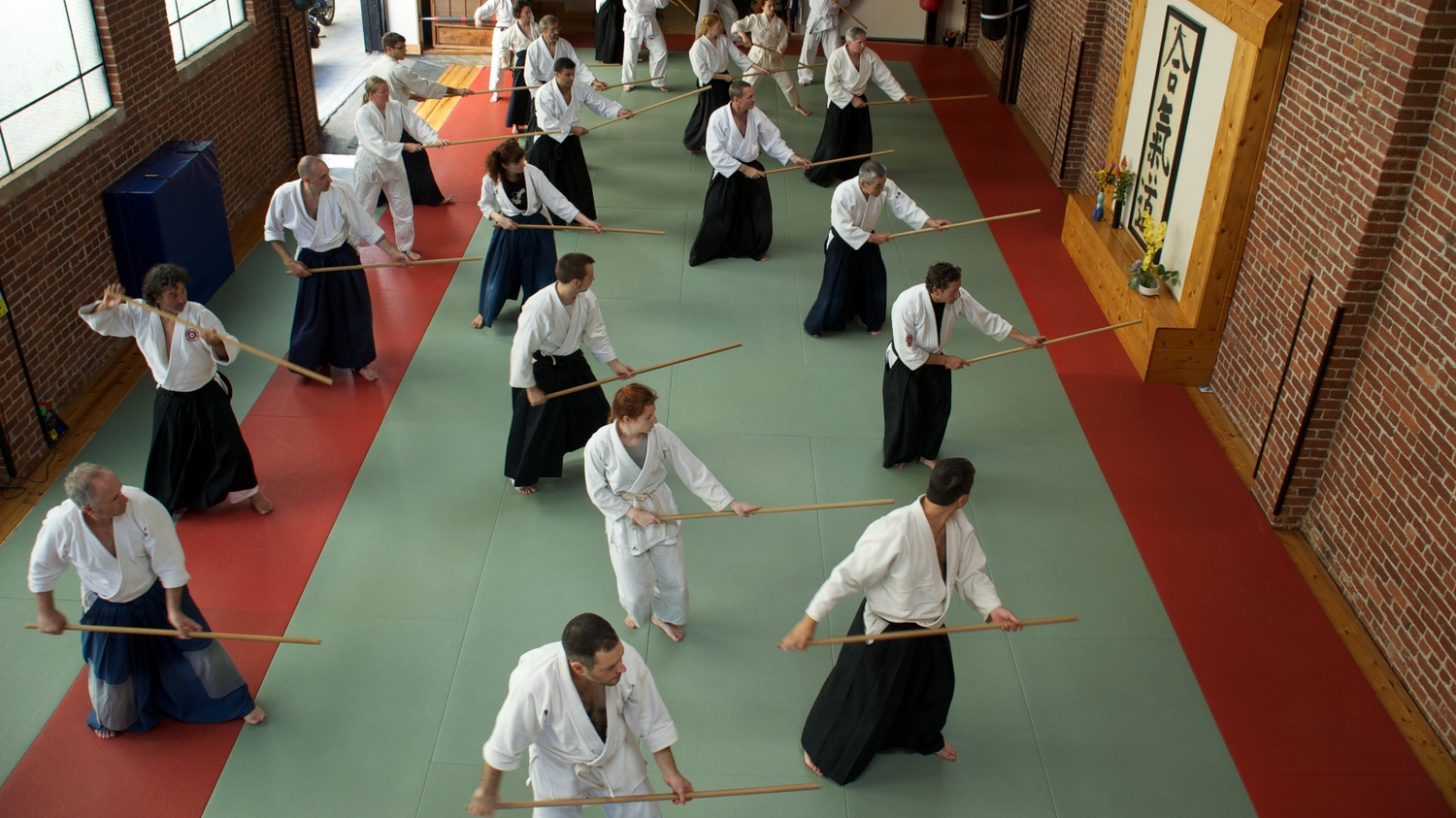 aikido picture 7